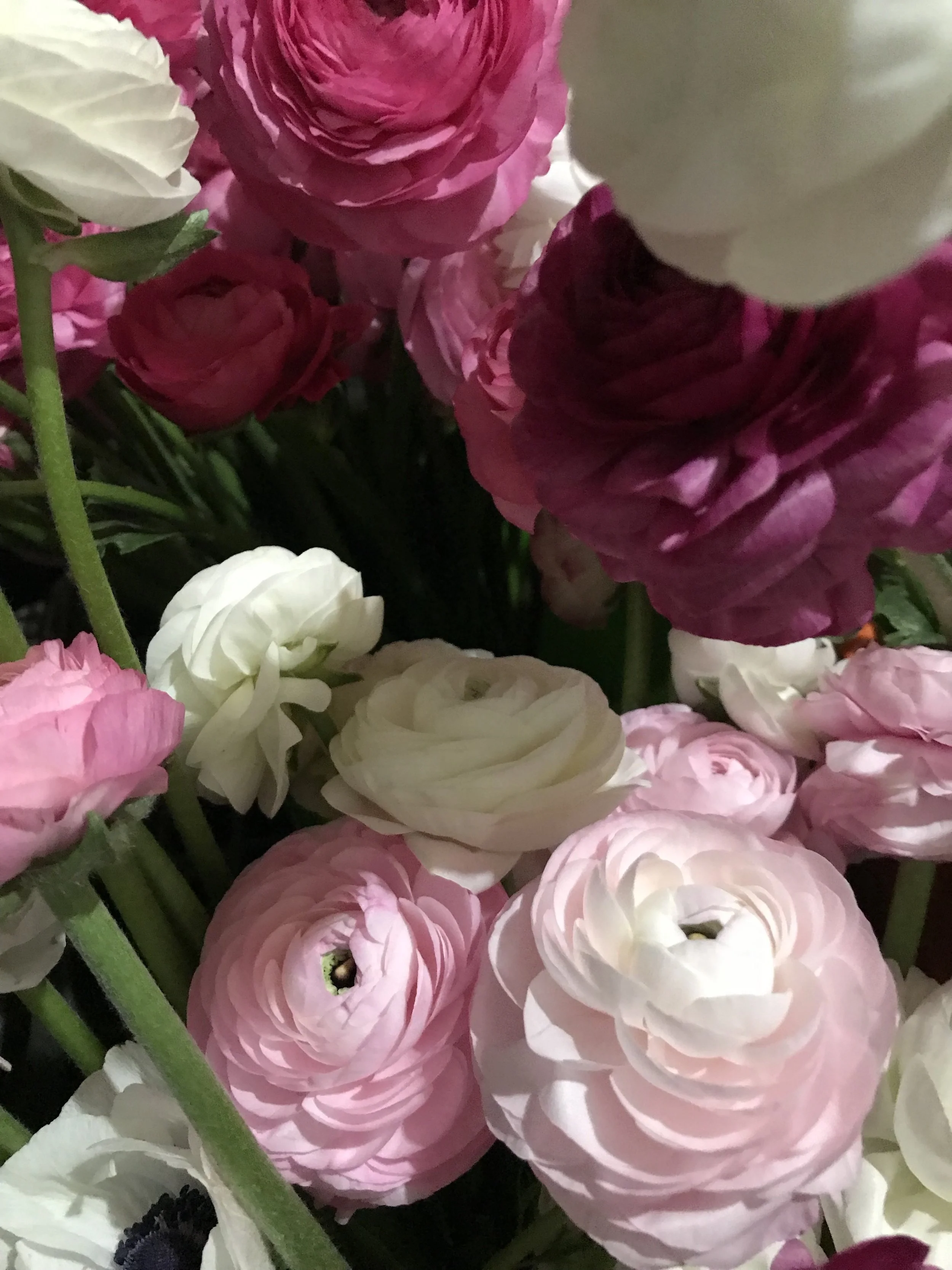 Farmstand at Rocky Creek is open for weekends