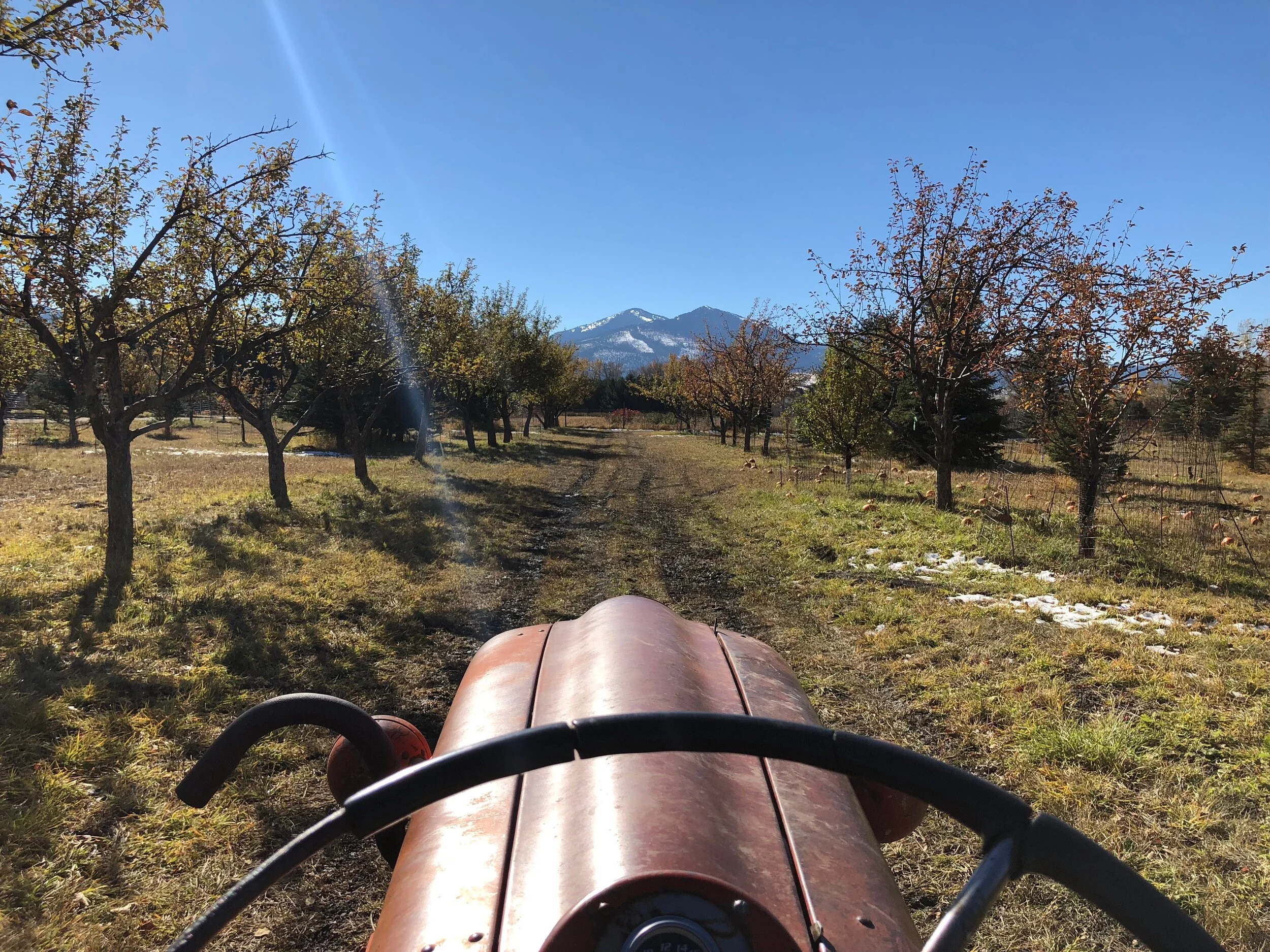 Fall Festival — Gallatin Valley Botanical