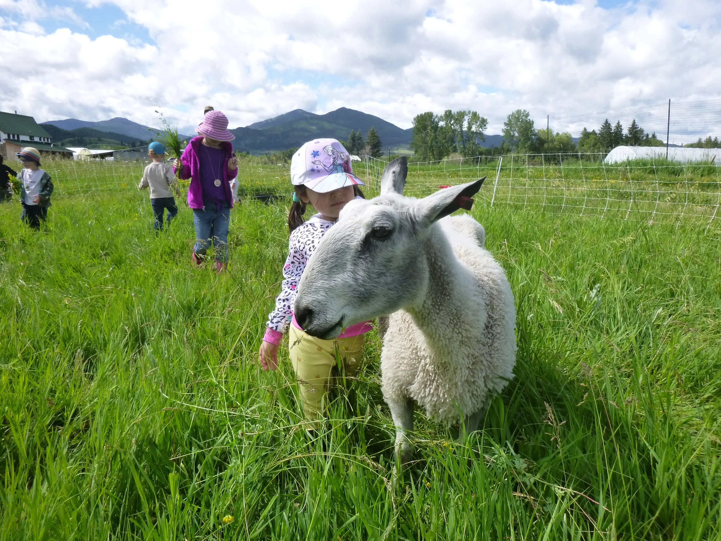 Animal Week! June 23-27 (Ages 4-6)