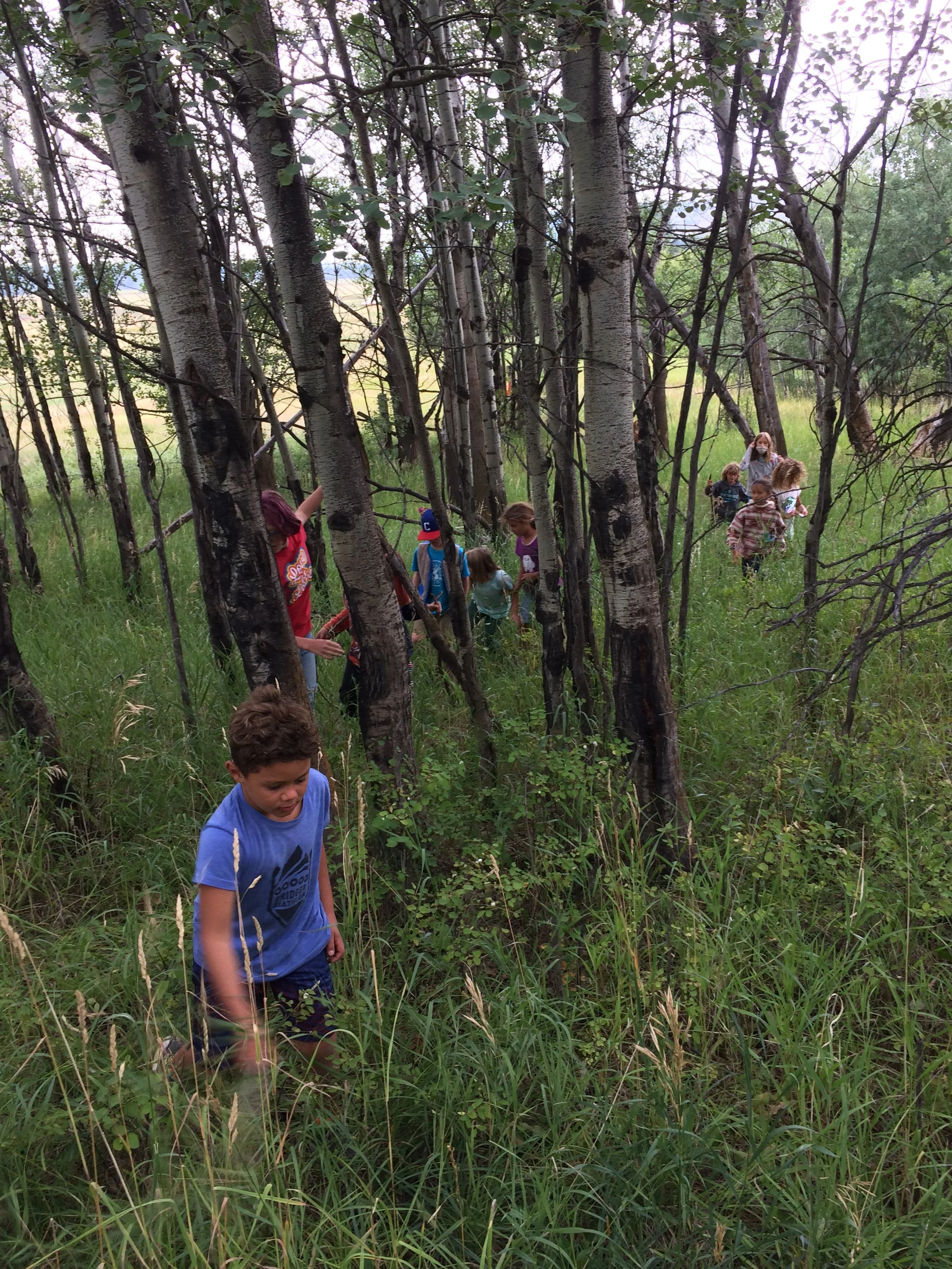 Nature Week ! July 14-18 (Ages 4-6 or 1st-5th grade)