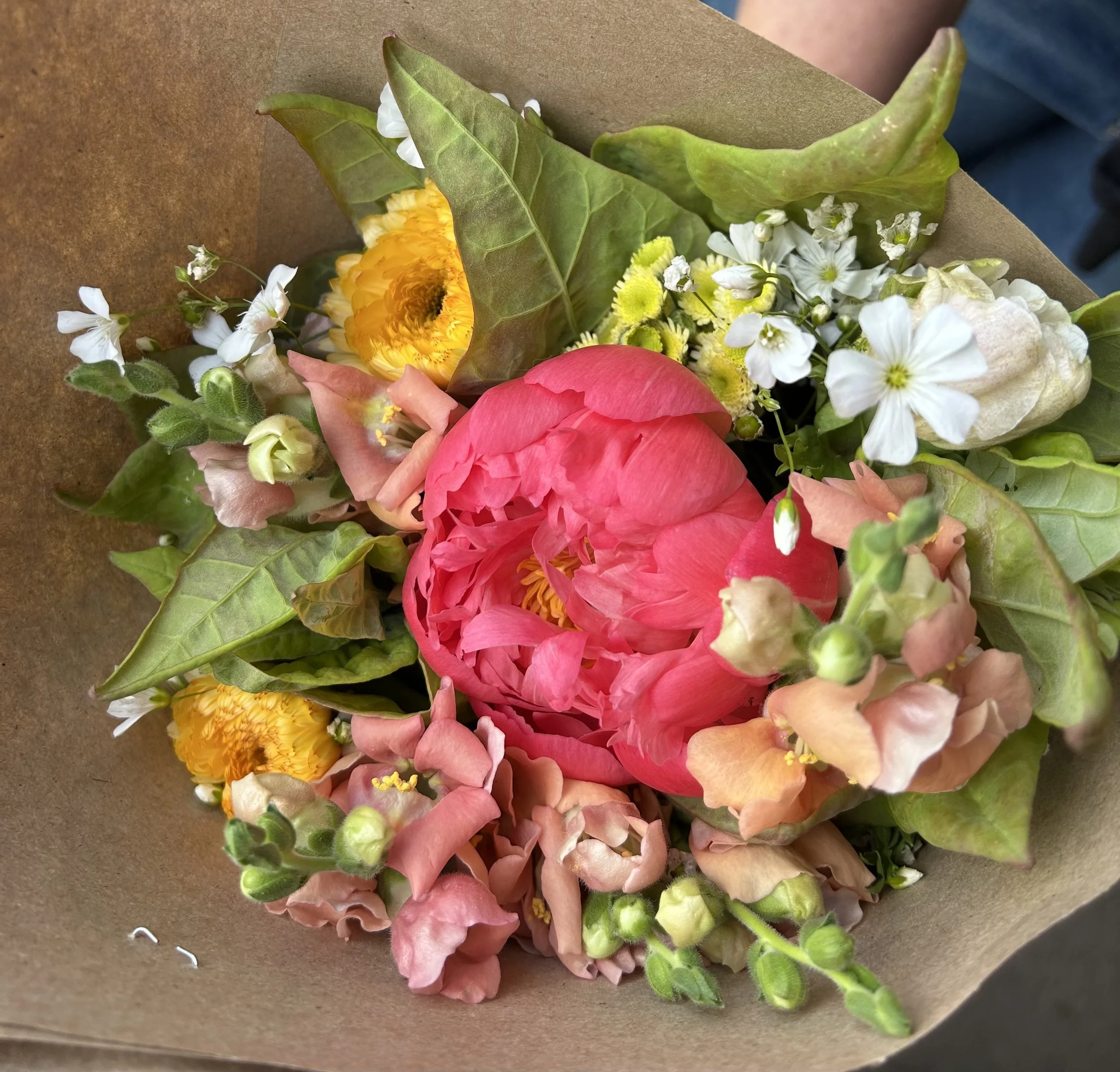 Flower CSA. Monthly payments. Closed for sign up.