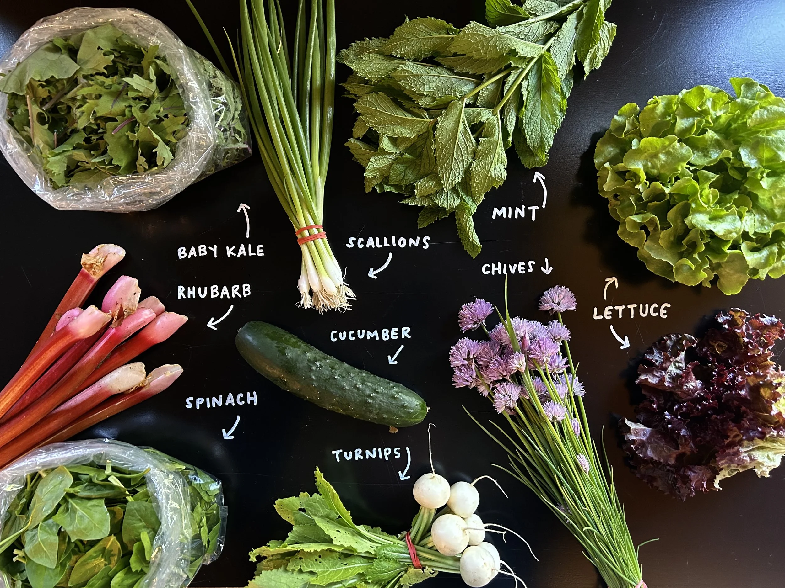 Small Share Summer CSA