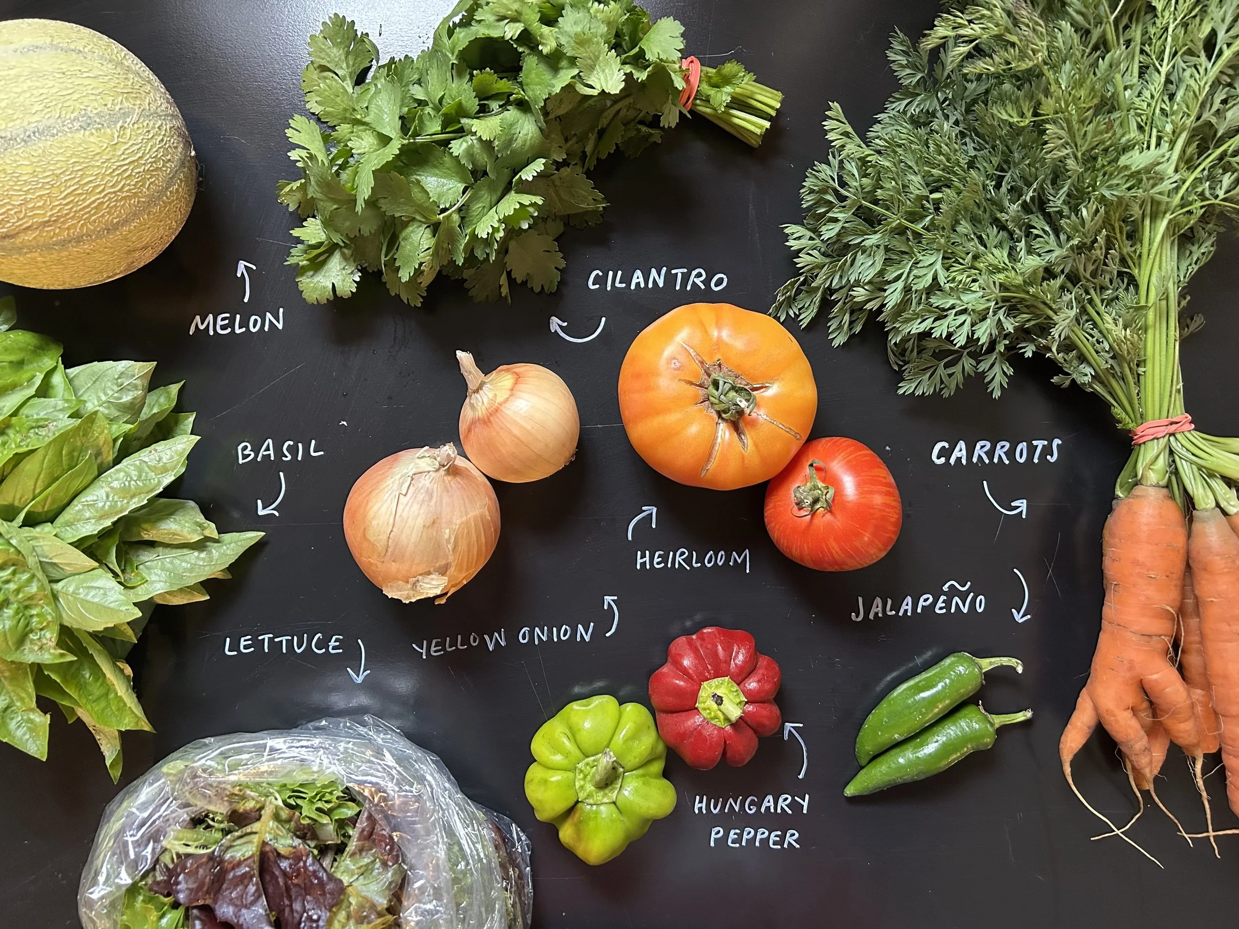 Full Share Summer CSA