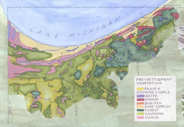 Geocaching.com created this map which shows what the terrain of Northwest Indiana looked like before the arrival of industry to the area. The website also has a good description of the dunes and swales in this area.