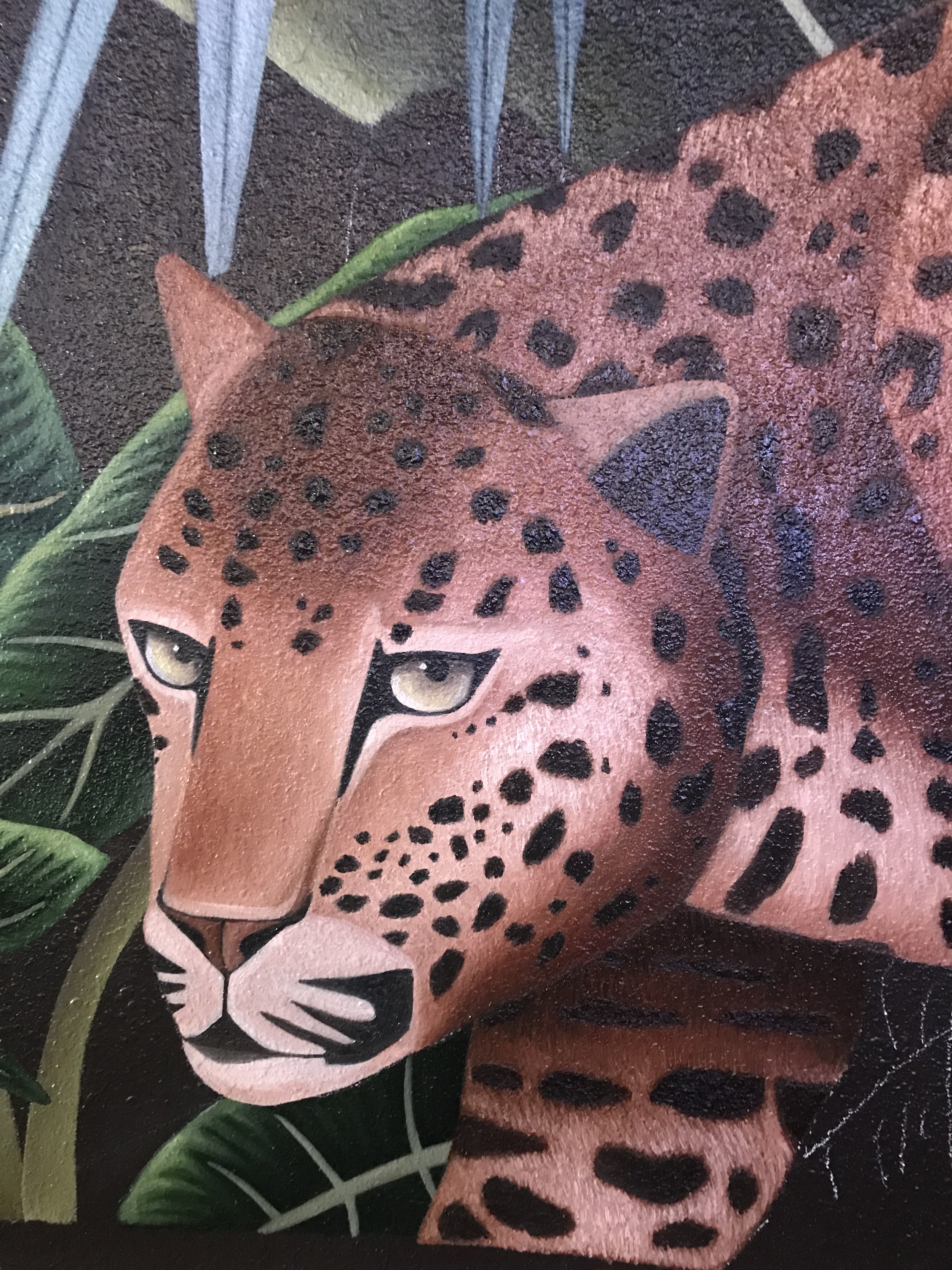 Jaguar close up .jpg