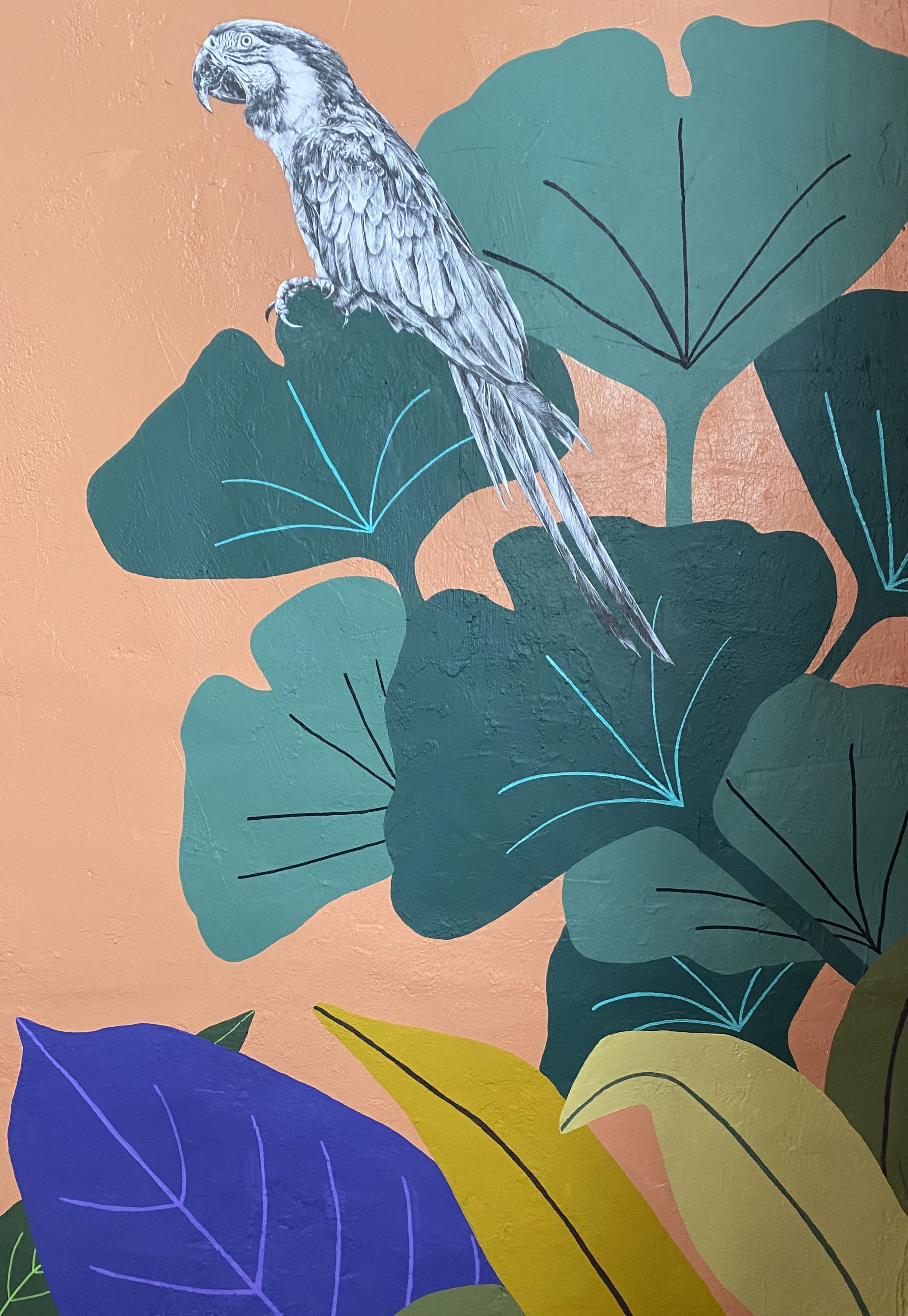 lifehouse mural parrot.jpg