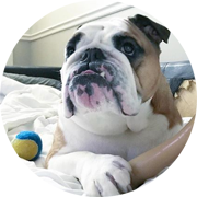andrebean-winston.png