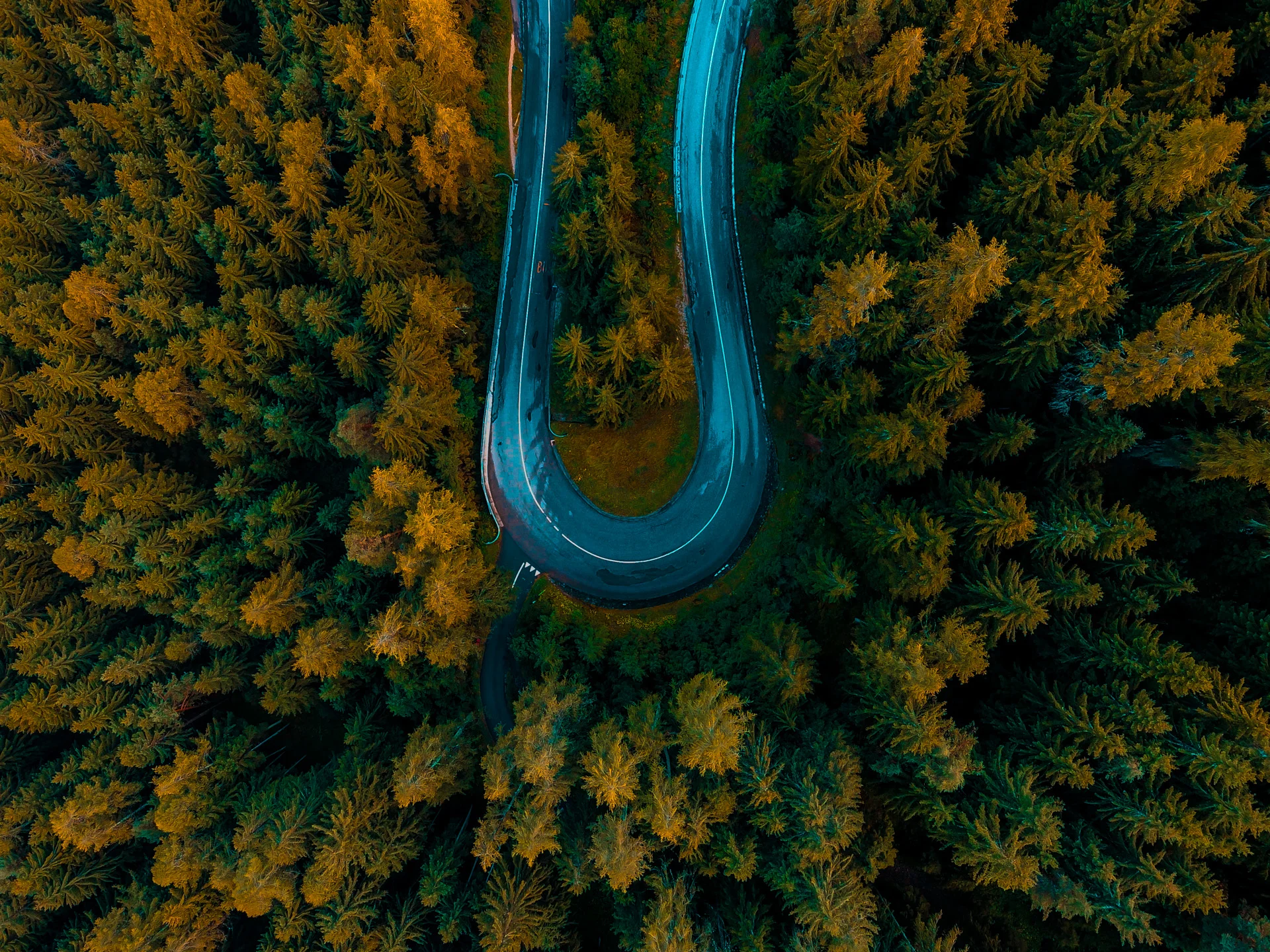 The Road to Alpe di Siusi