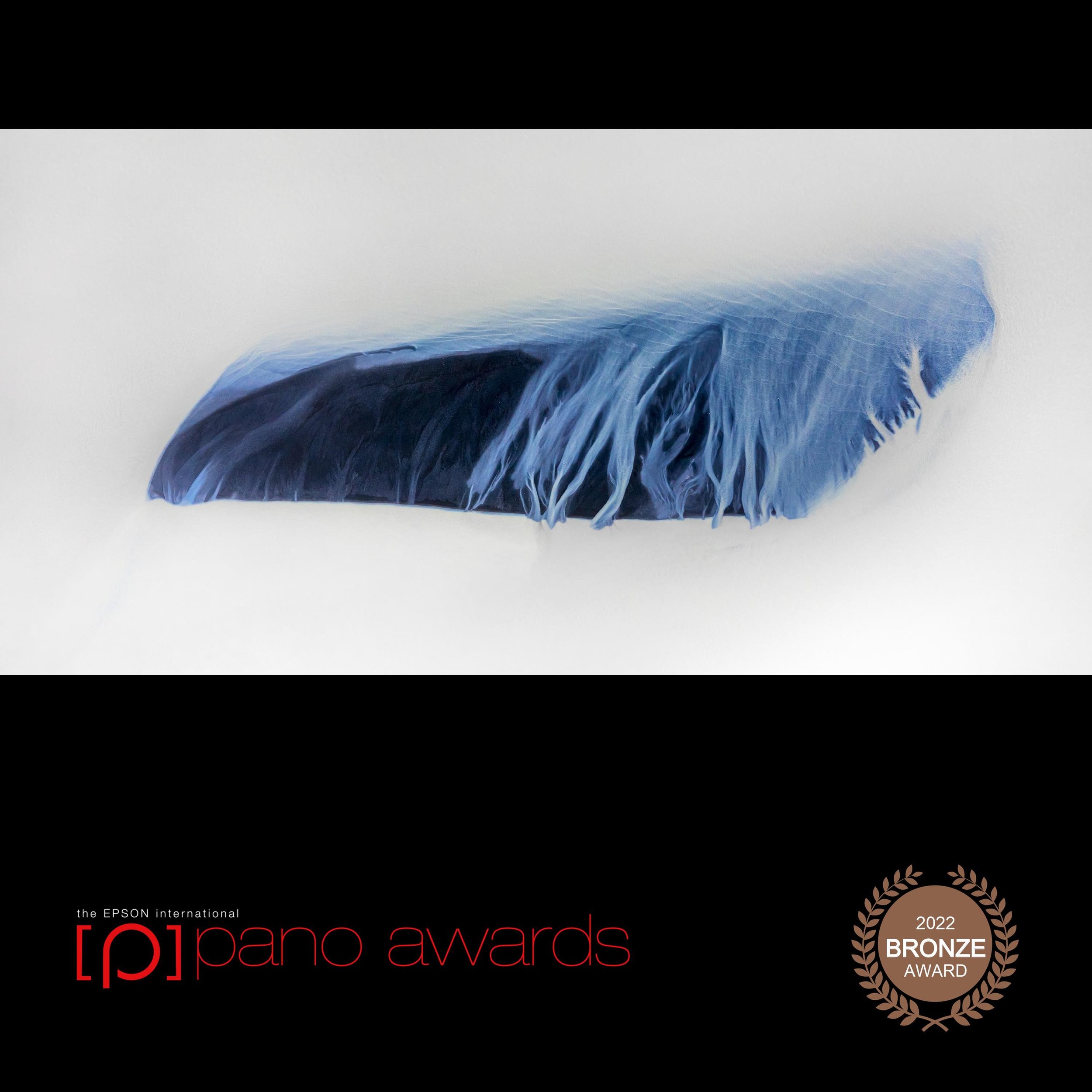 2022-Epson-Pano-Awards-Score-Open Awards-Social-Badge-16982.jpg