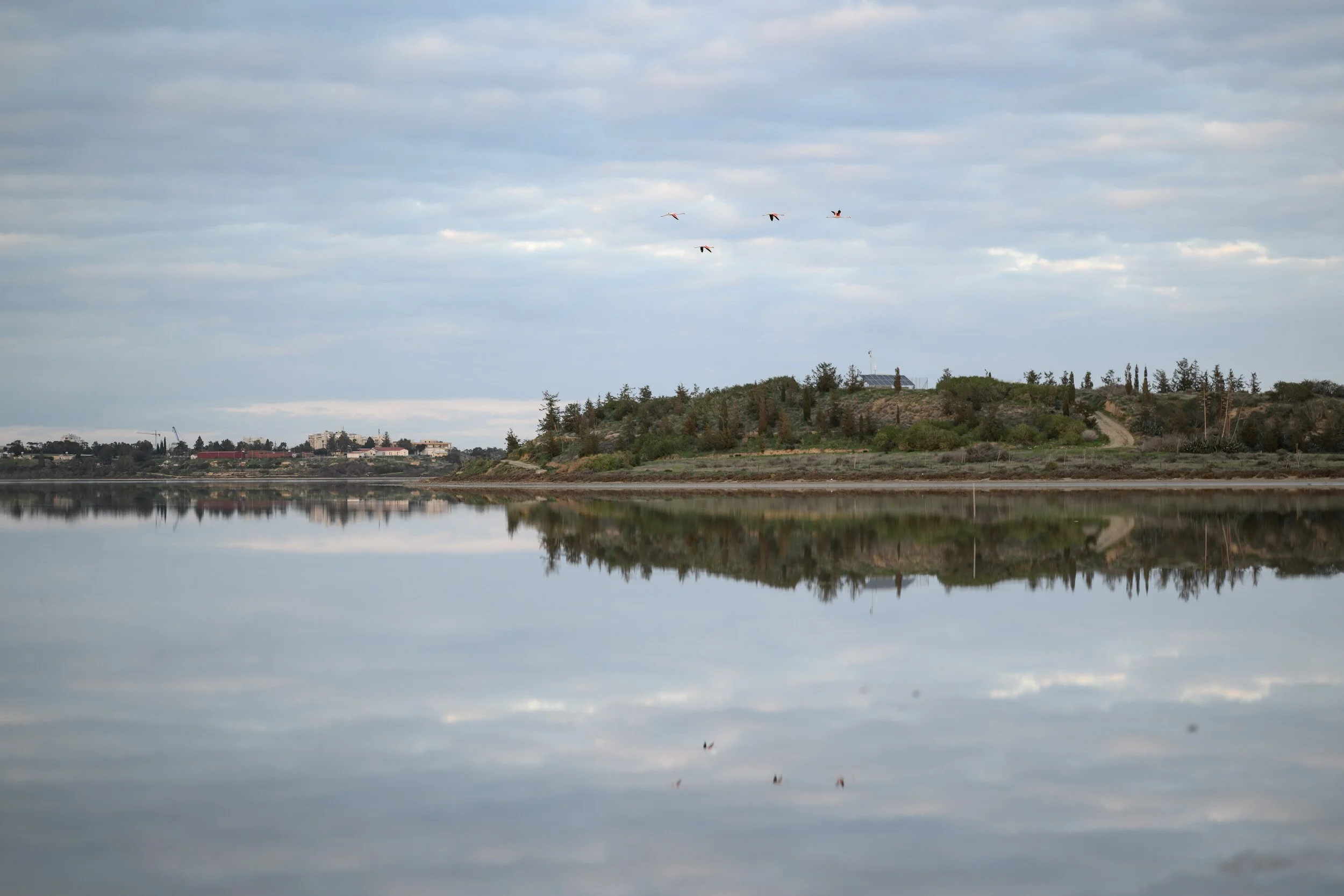 Maria Kleopas Wedding in Cyprus by Valentinos Loucaides 110.JPG