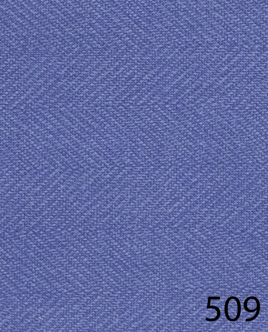Close-up of a textured blue surface with the number 509 in black at the bottom right corner.