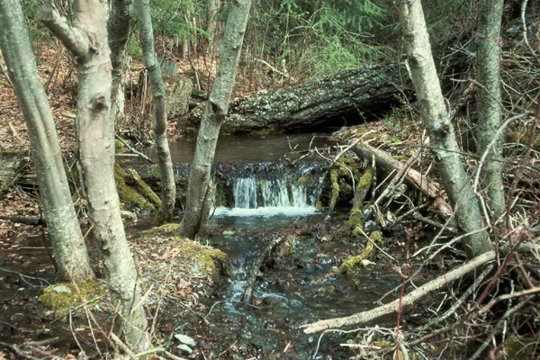 _roughcreekcwd.jpg