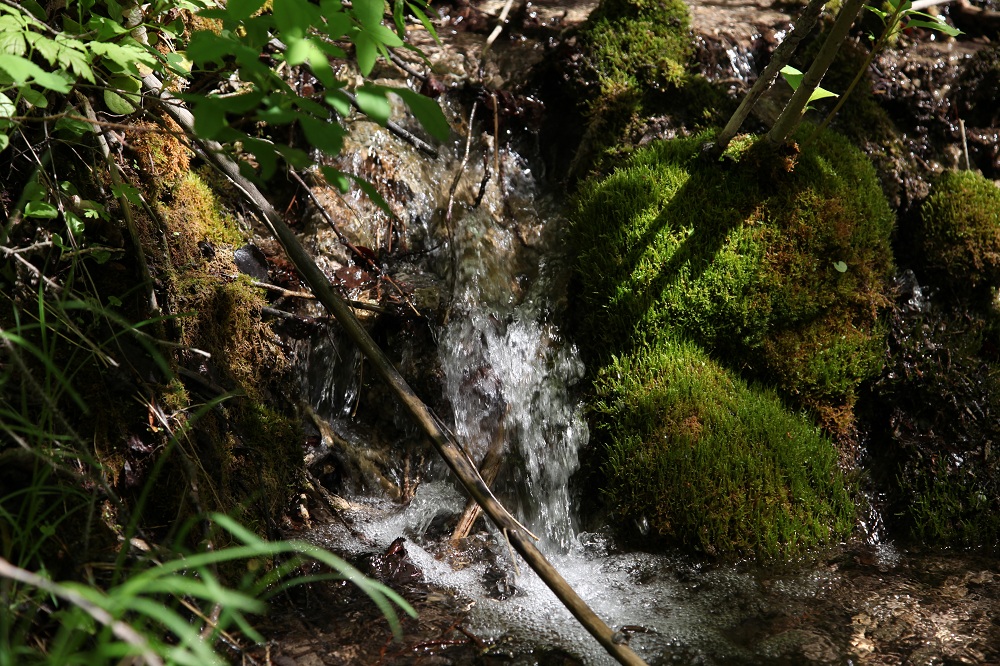  Restore water quality, quantity and timing of flow through Xaxli’p Survival Territory.     