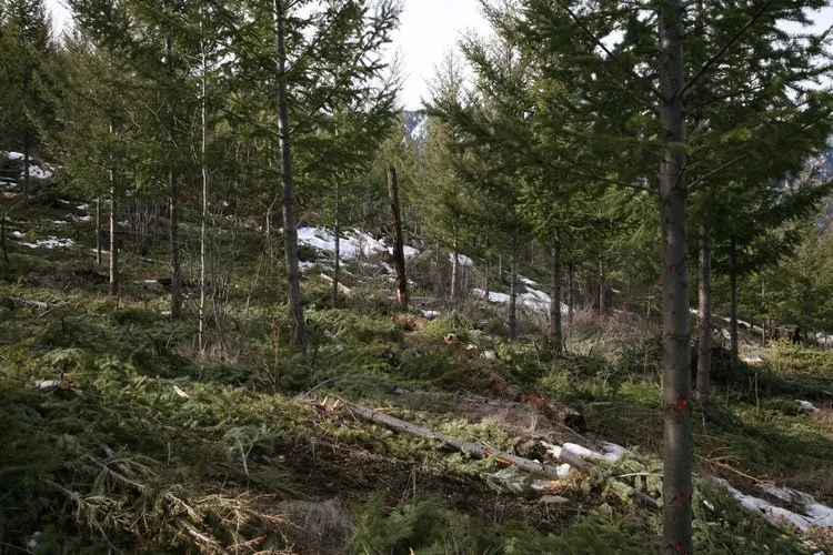 The primary goal of eco-cultural restoration is to maintain or restore ecological integrity – keeping all of the parts all of the time