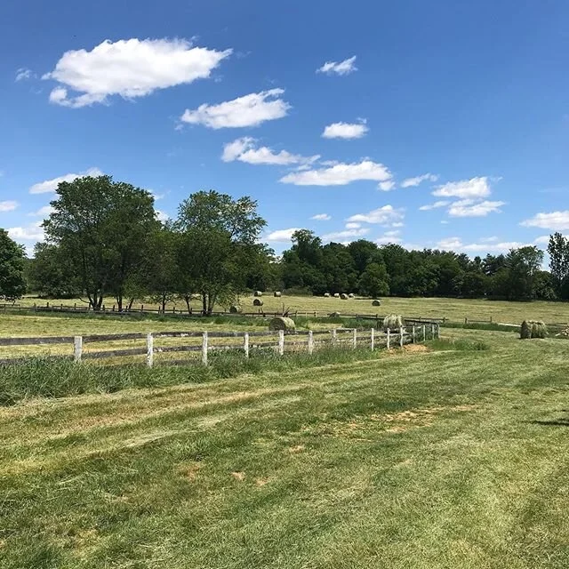 This will never get old. Beautiful view from our farm house renovation. Got a farmer to cut the fields for hay. The trees got a trim to allow for better view and as you can see from scrolling a lot of work getting done in the house too!  Won&rsquo;t 