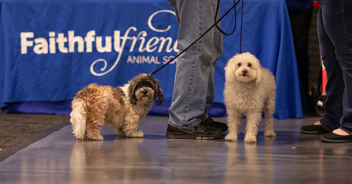 faithful friends20190105-5D_42101.jpg
