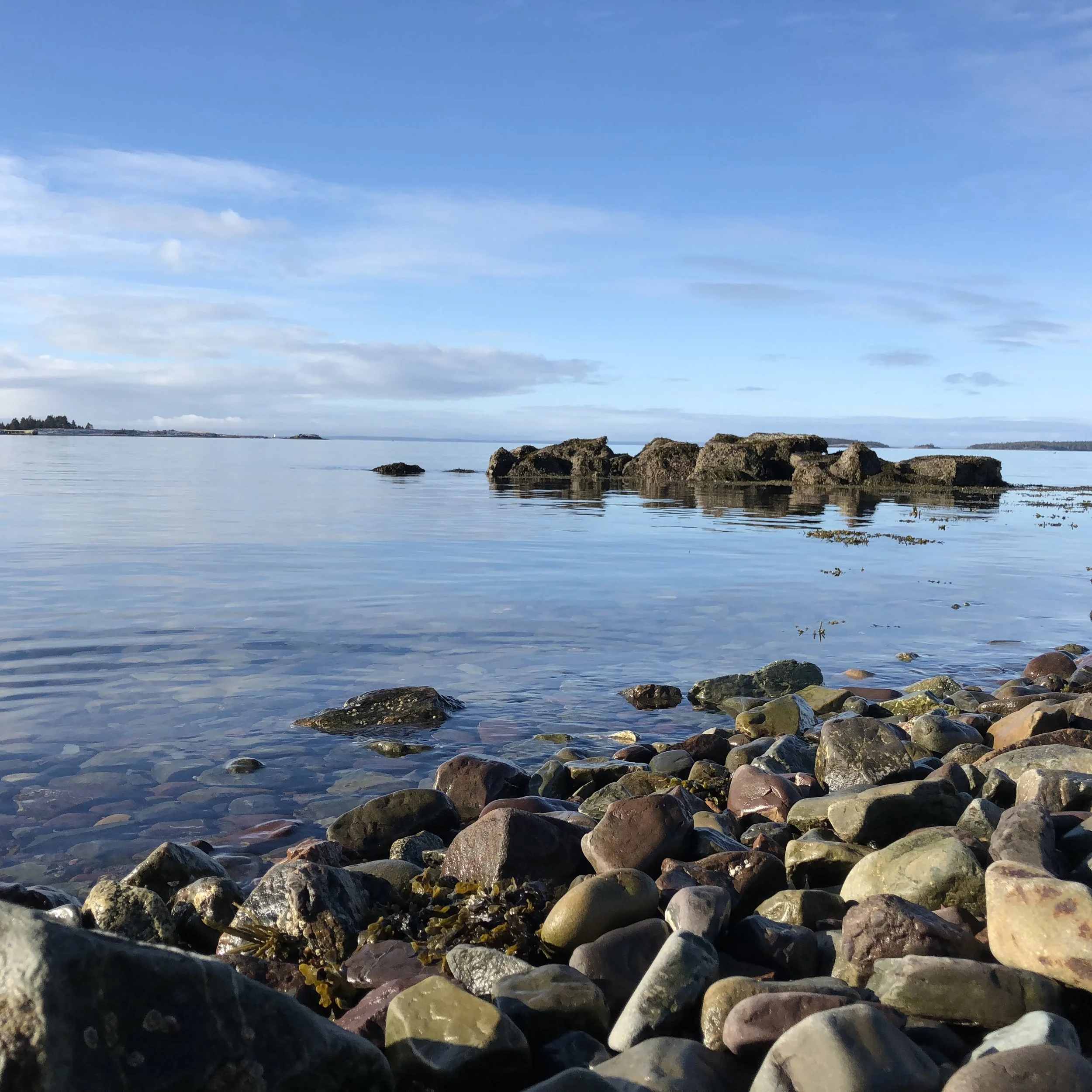 One Perfect Day on Isle Madame for the Nature Explorer
