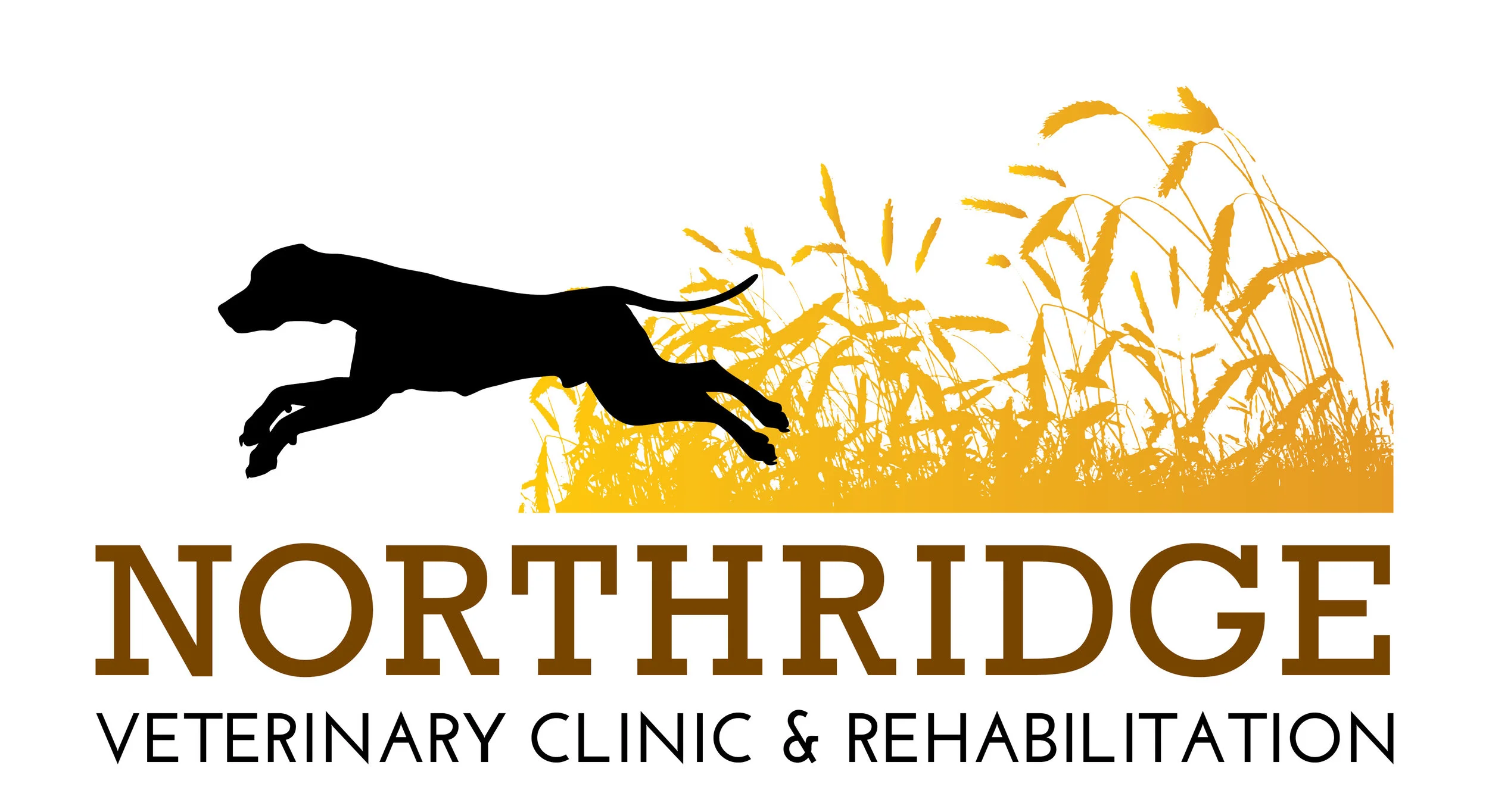 Northridge Vet Logo - Web.jpg
