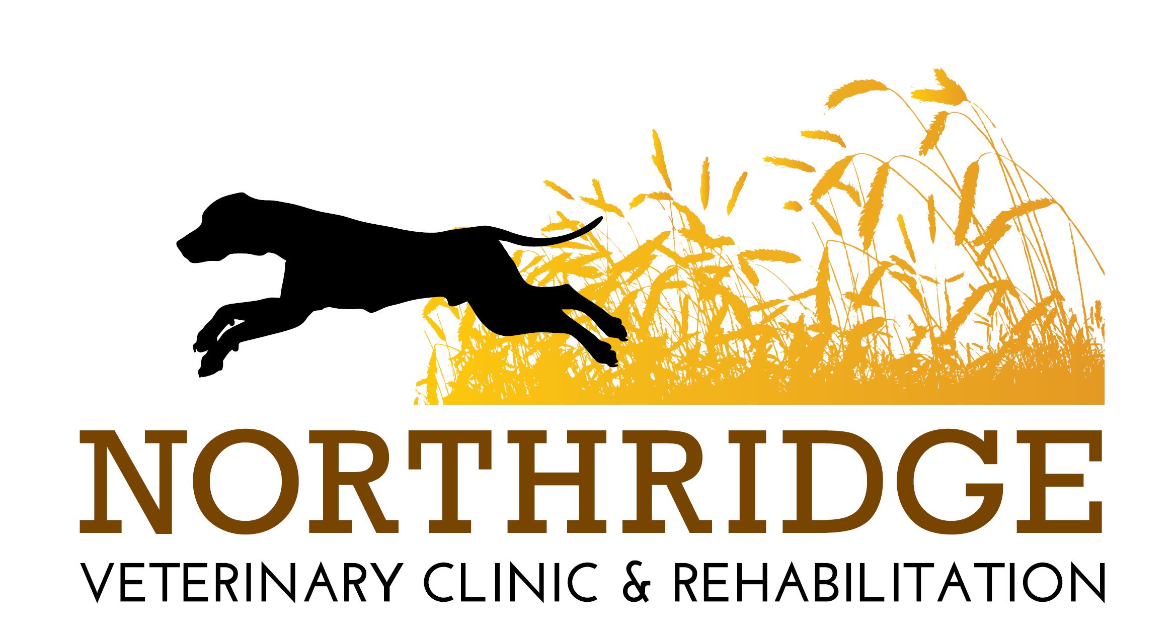 Northridge Vet Logo - Web.jpg