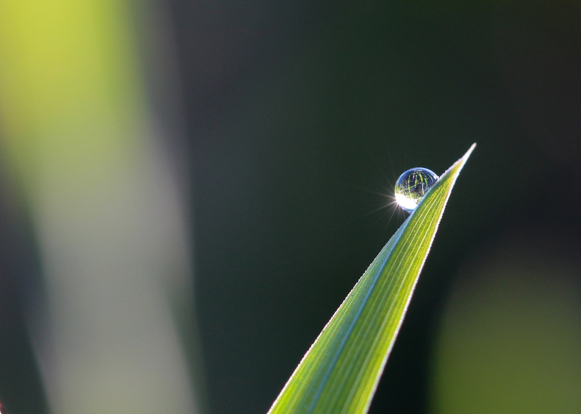 blade-blur-bright-531428.jpg