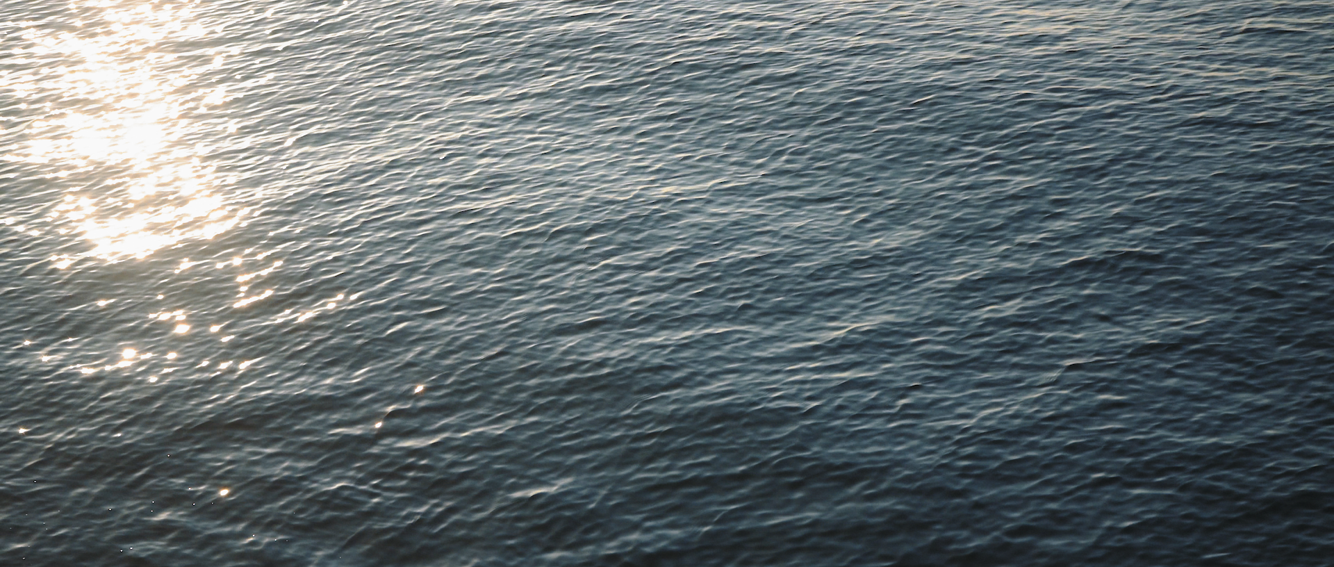 Main Copy 01.00_00_13_16.Still003.png