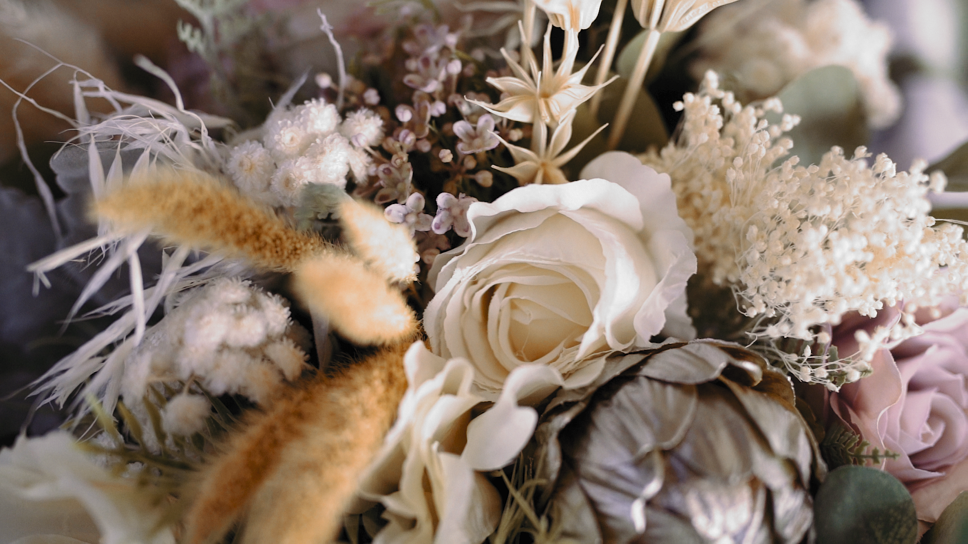 WebVideo.00_00_25_21.Still009.png