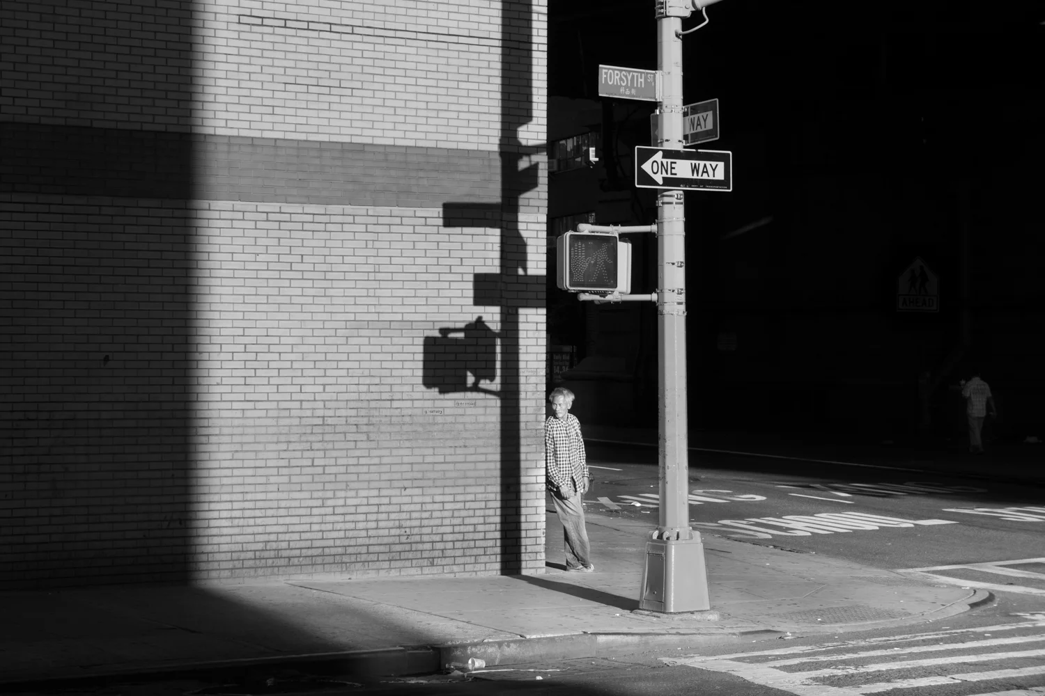 Chinatown 8-04-2013-75.jpg