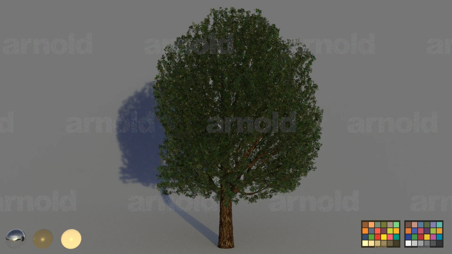 Active_Render.Tree02.0110.0.jpg