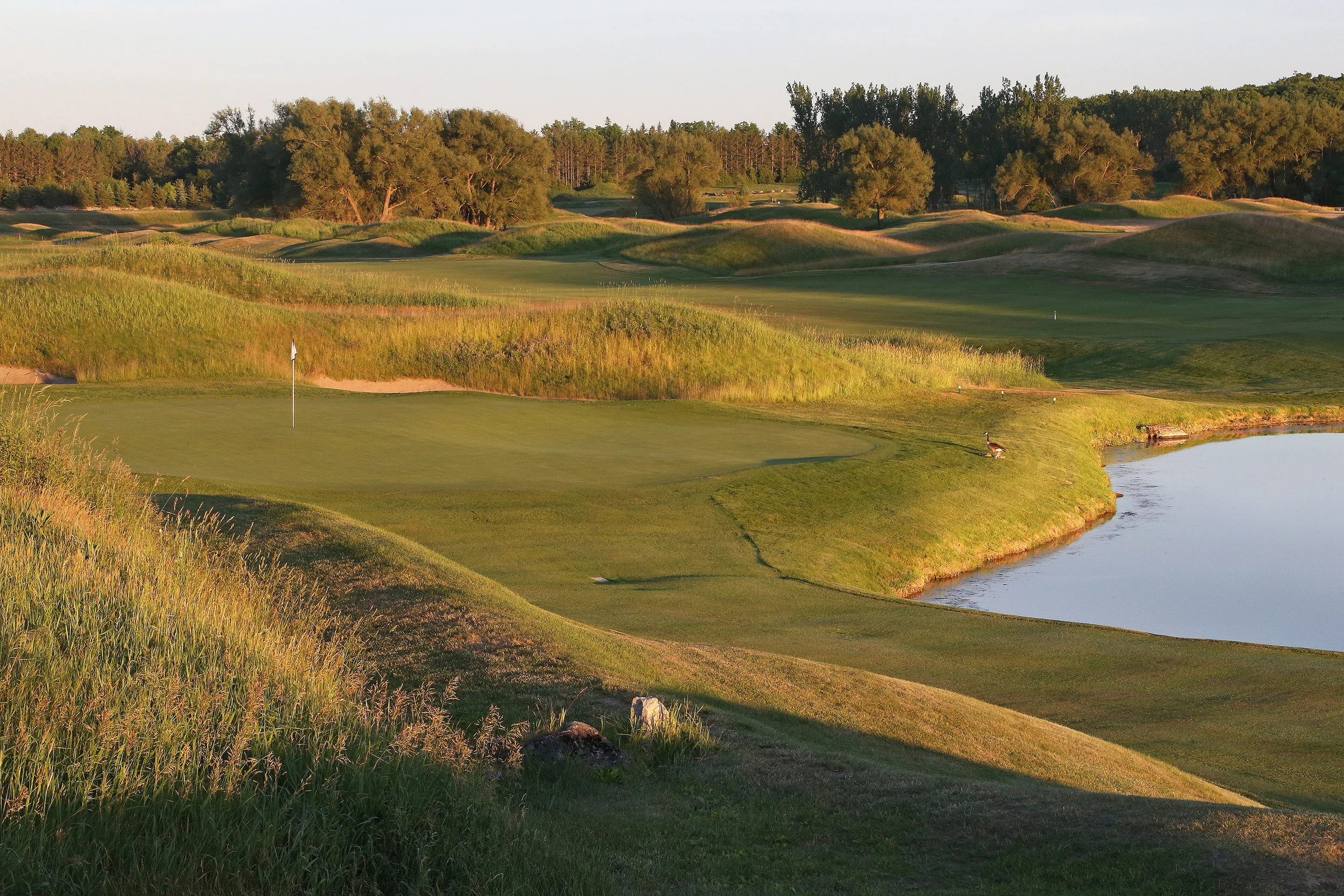 Osprey Valley-Heathlands-001.jpg