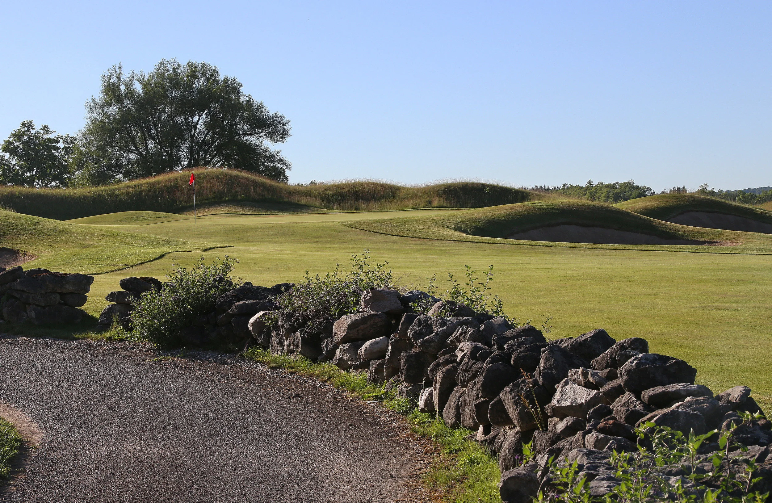 Osprey Valley-Heathlands-009.jpg