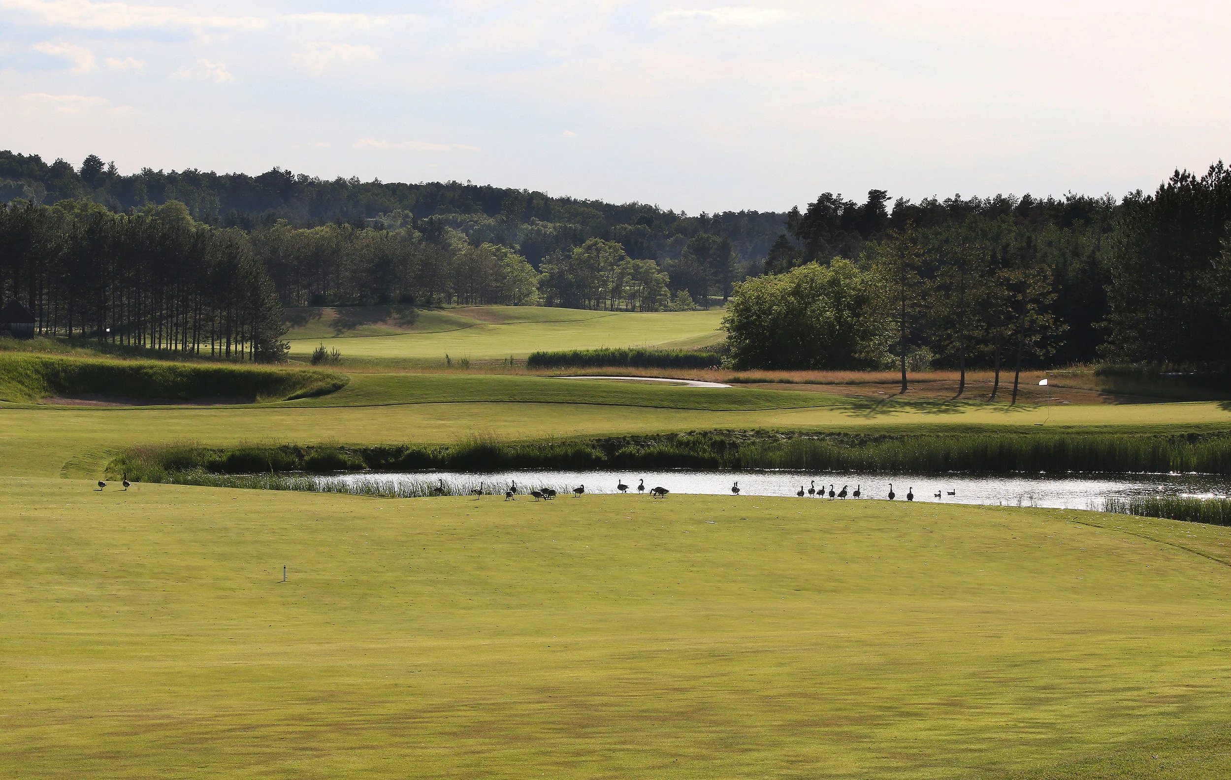 Osprey Valley-Hoot-006.jpg