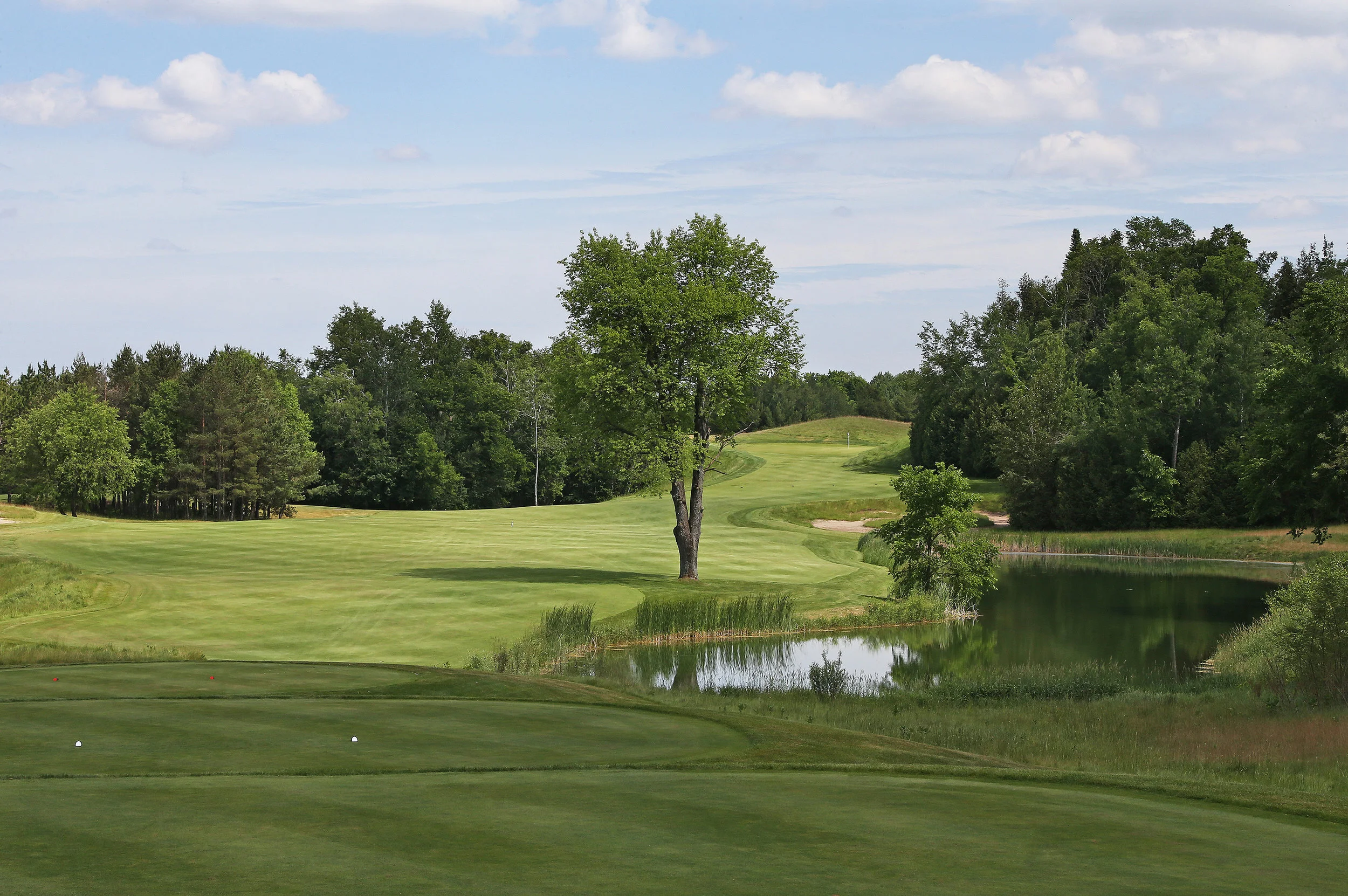 Osprey Valley-Hoot-008.jpg