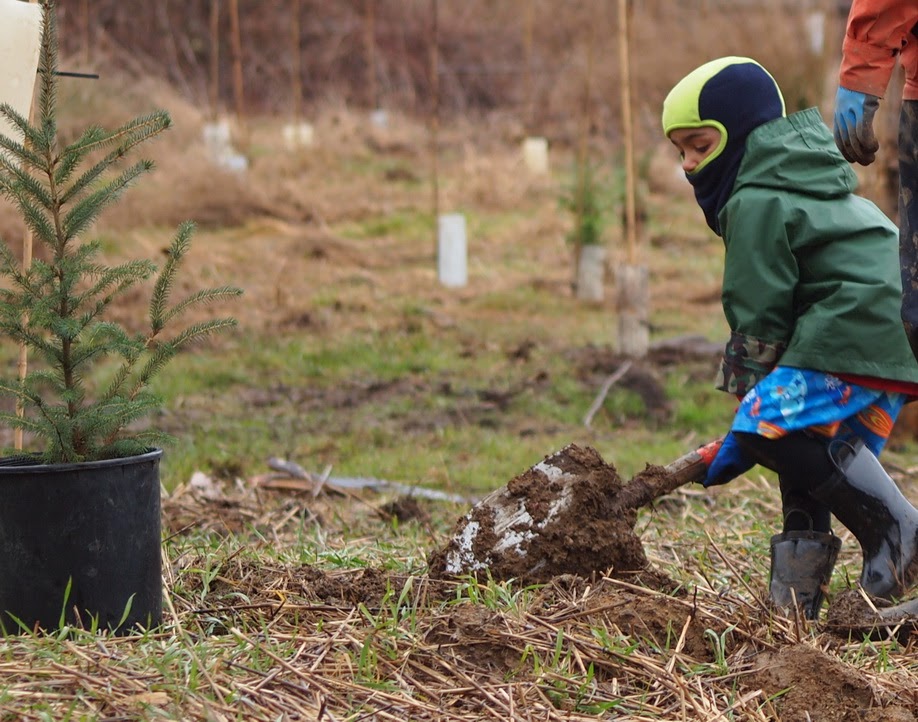 Green Hat boy planting BEST[4].jpg