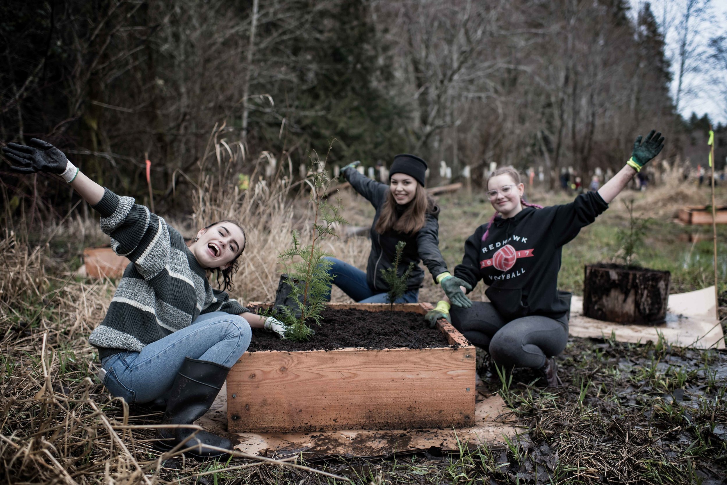 Three high school students plant trees using special planter boxes on Feb 3 2018.jpg