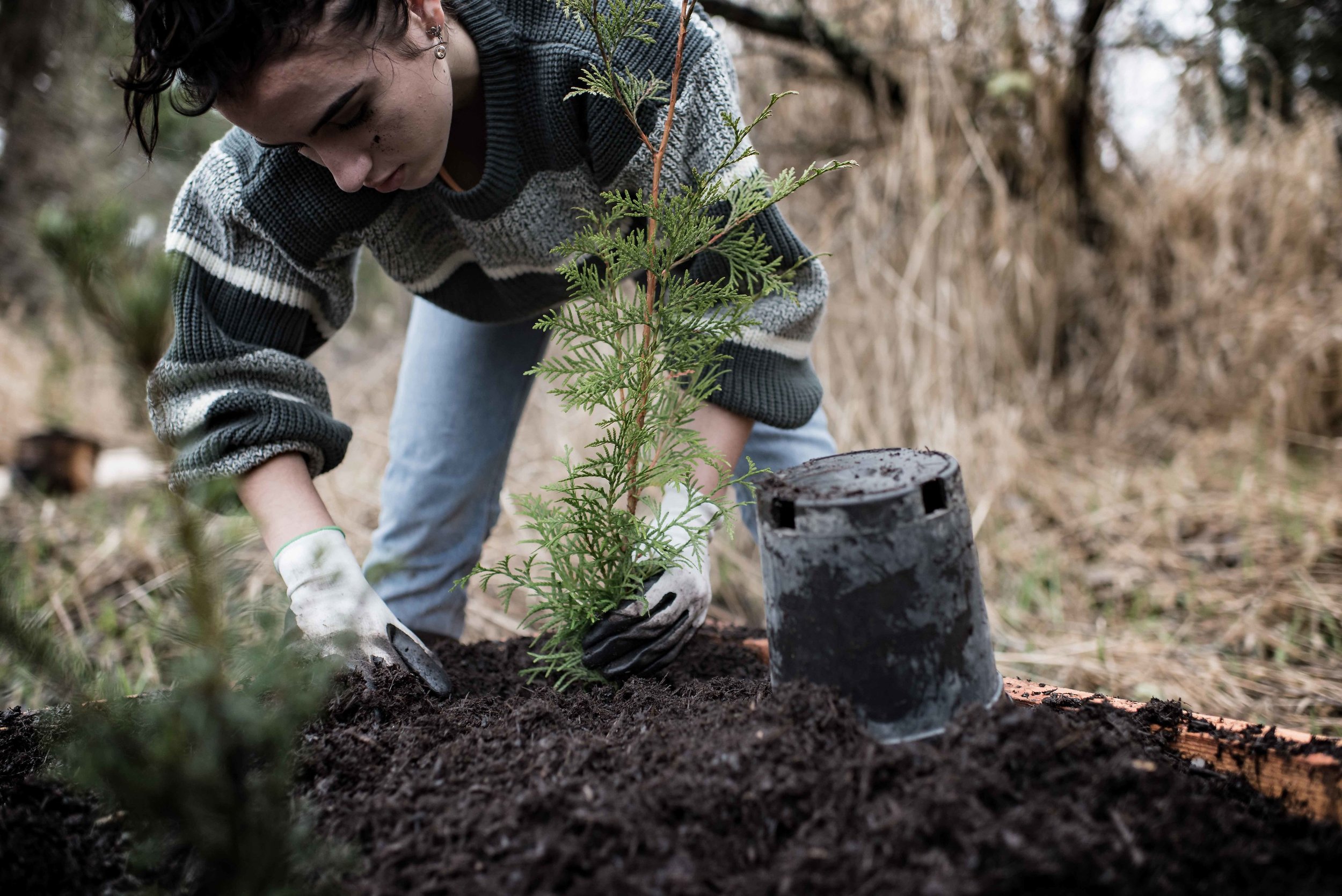 Amina Stier Planting 2018 copy.jpg