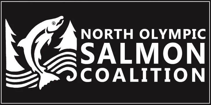 logo wide_2011.jpg