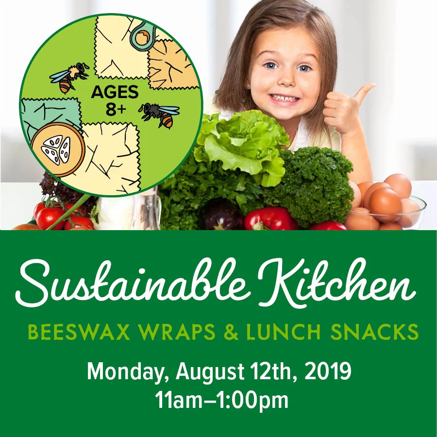 Sustainable Kitchen Lunch snacks and bags June2019_SM.jpg
