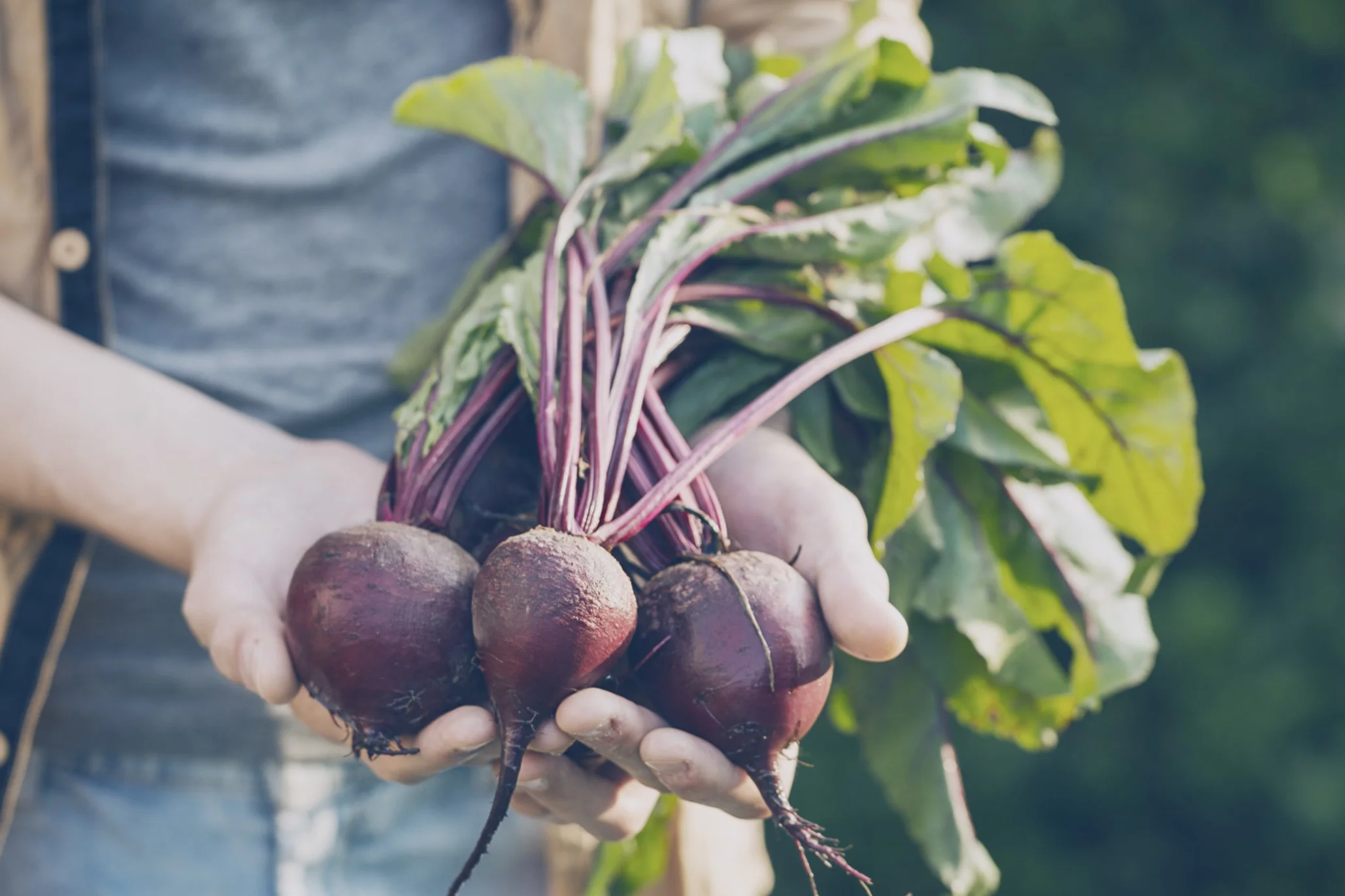 Ways To Extend Your Produce Without Plastic