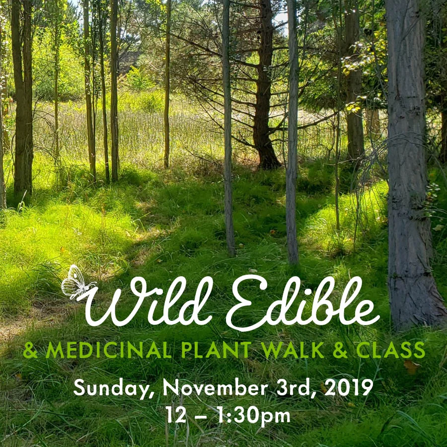 Wild Edibles Nov 2019_SM.jpg