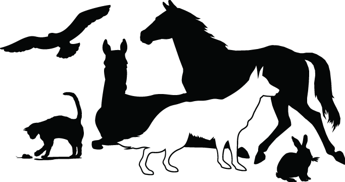 valley animal rescue