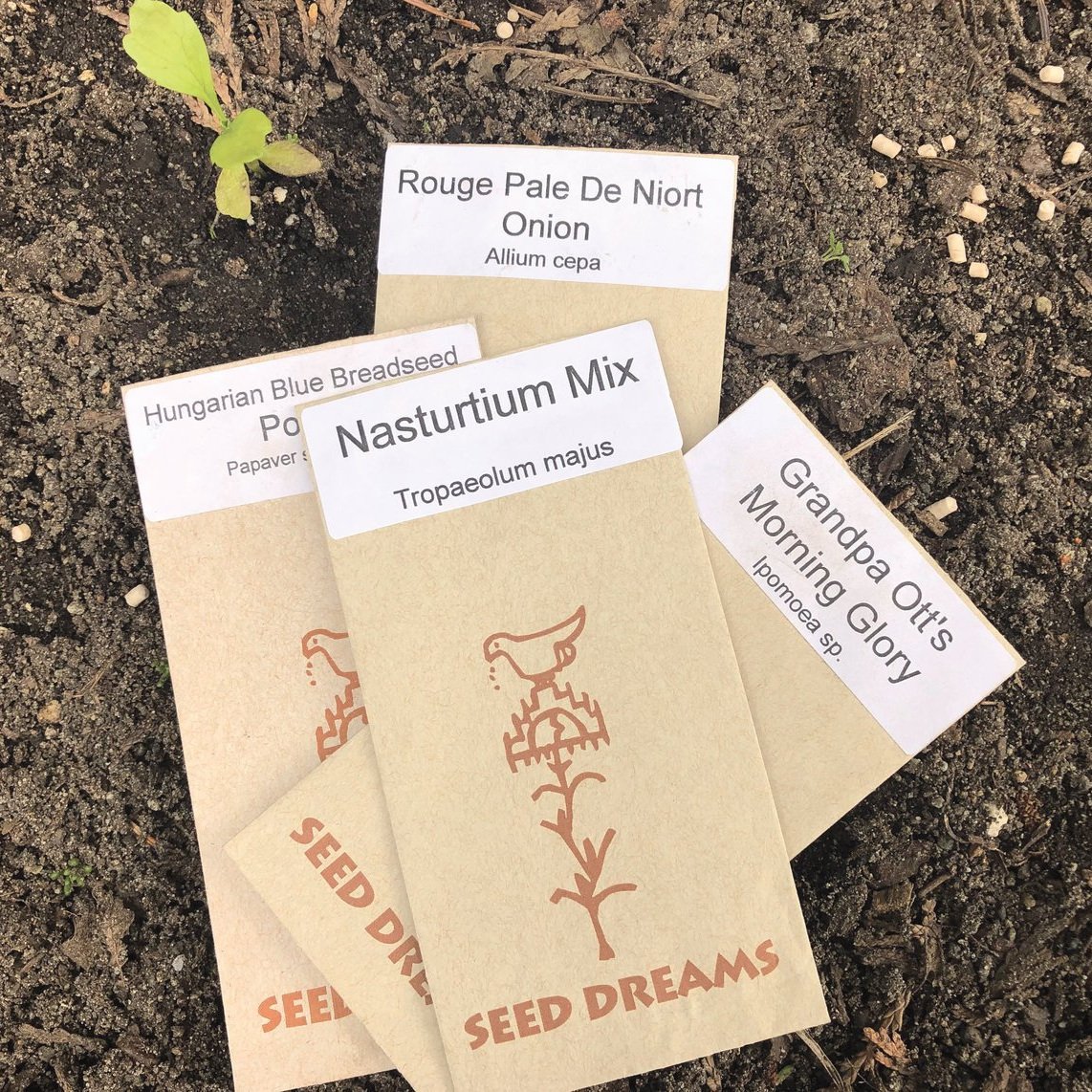 Seed Dreams