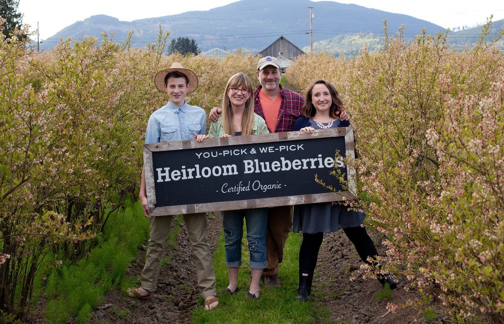 Bow Hill Blueberries