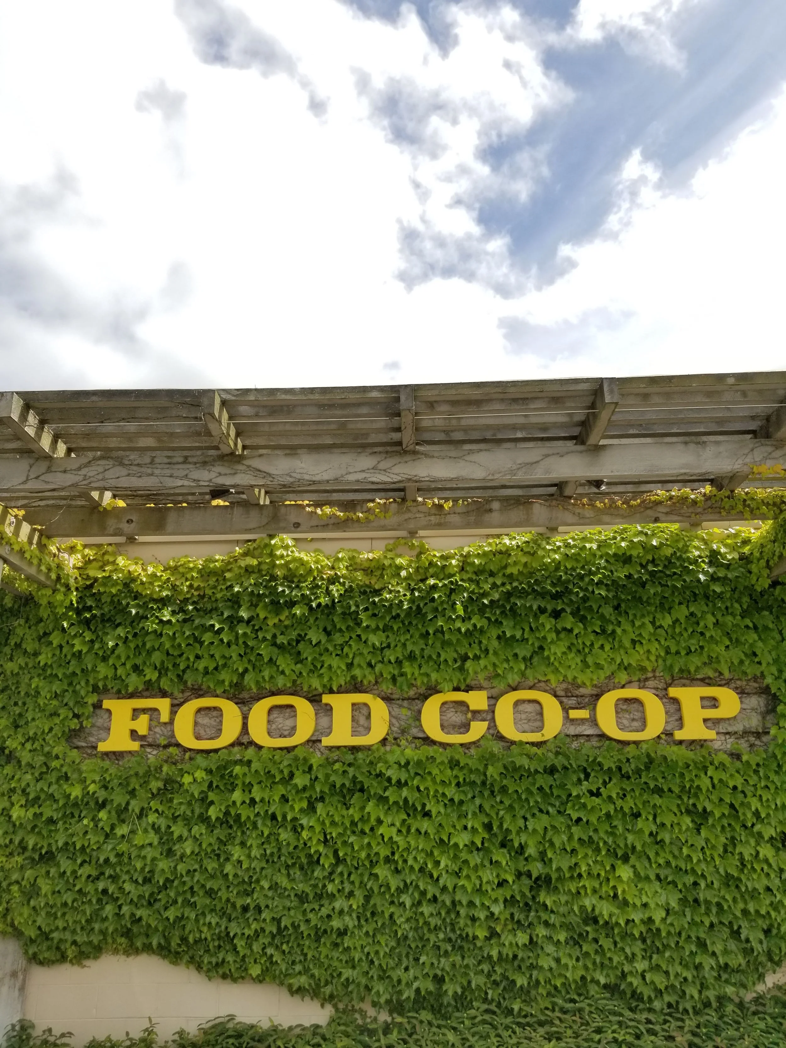 November General Manager's Report