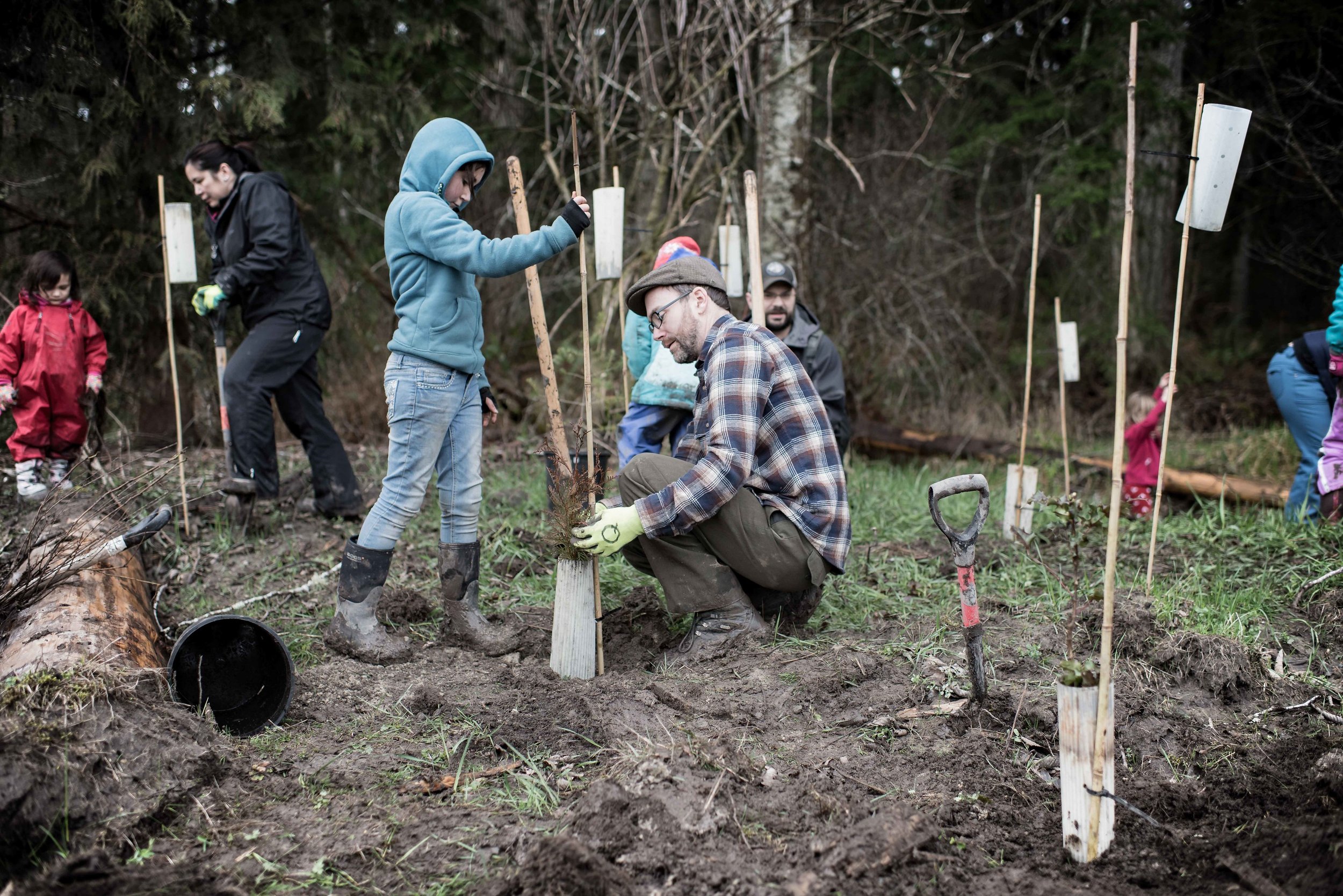 Justin Lake a teacher from Quilcene school plants trees with his daughter Photo_Credit_Eric Rabena.jpg
