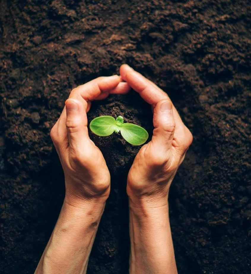 Grow Fund Application Opens August 1st