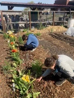 Kids Planting Flowers.jpg