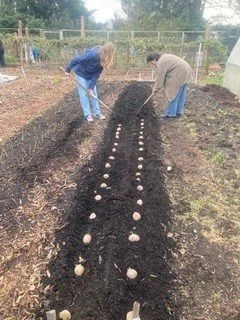 Kids Planting Potatoes.jpg