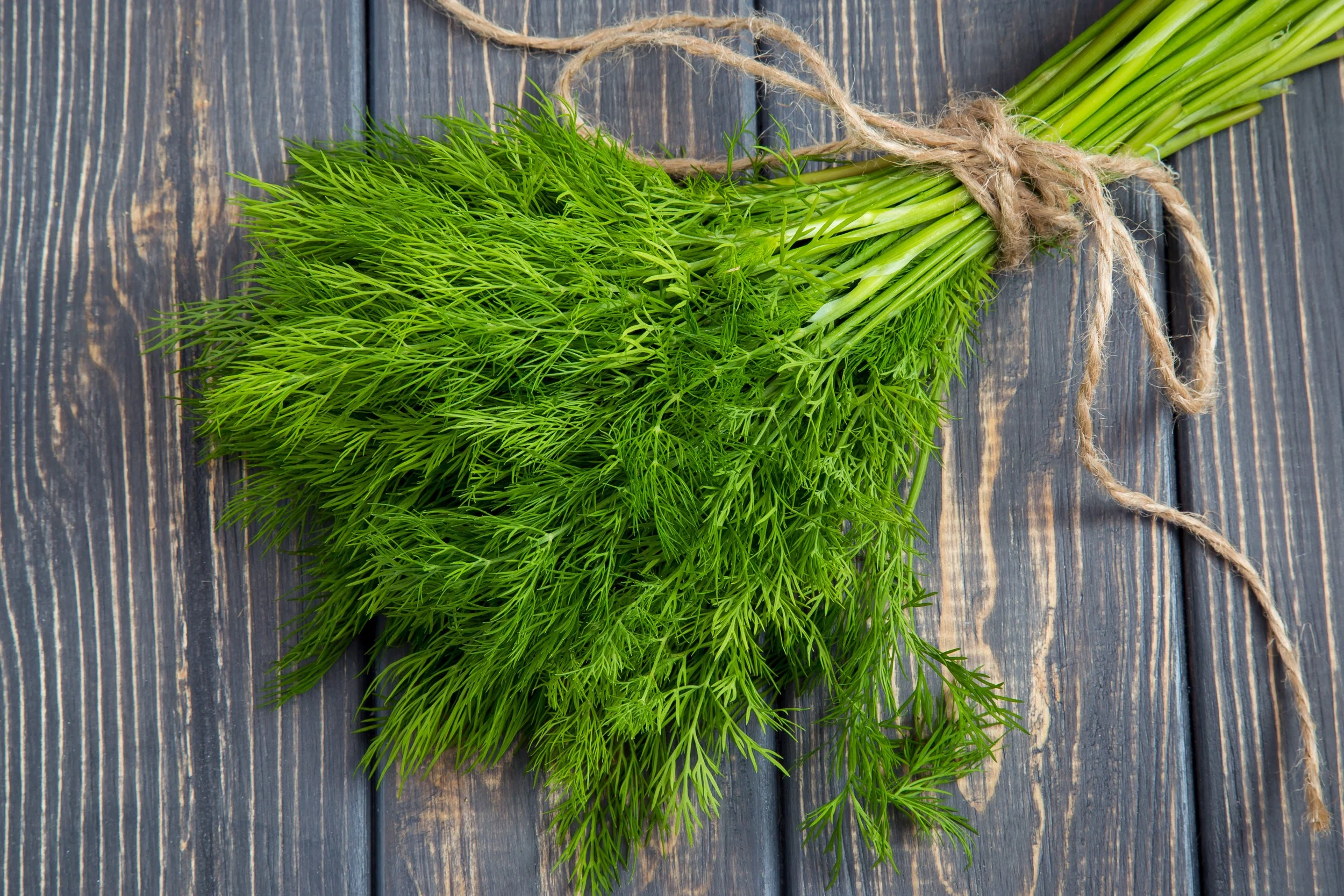 Dill-lightful, Dill-icious, Dill-ectible