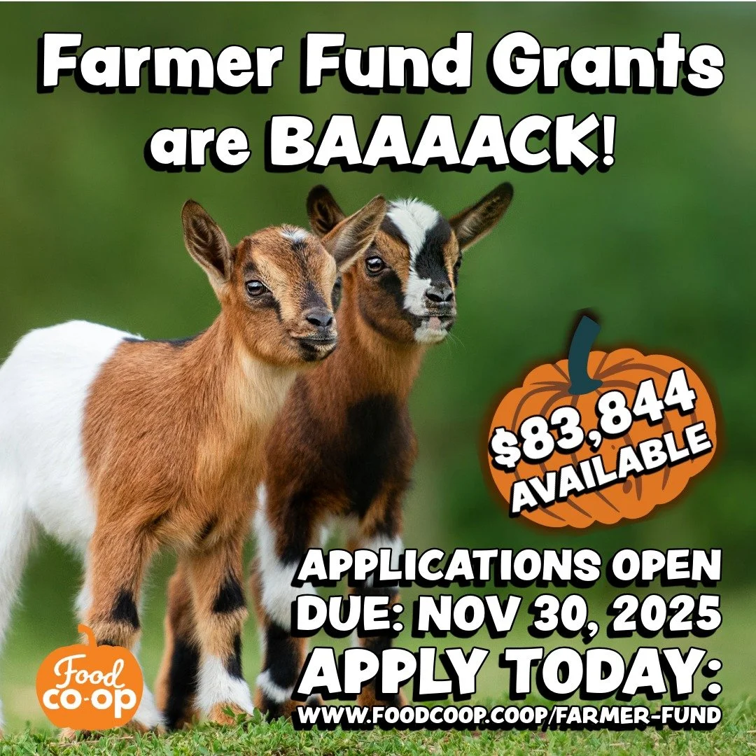 Farmer Fund Grants Are BAAAAACK!
🐮🐔🍎🫐🥕🥬🐑🐖
Applications are now open for Farmer Fund Grants.
There is $83,844 available.
Please apply by November 30th.

🖇️Link in bio!

Please Share!
@onestrawranch
@grayfoxfarmwa
@kodamafarm
@mysterybayfarm
@