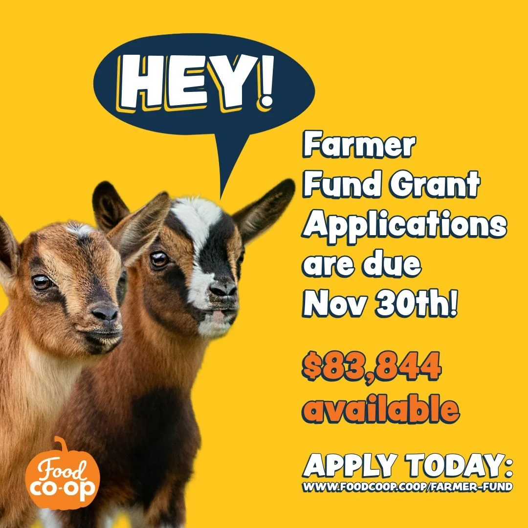 HEY!
Reminder that the Farmer Fund Grant Applications are due on Nov 30th.

Apply today! ⭐Link in bio.

@onestrawranch
@grayfoxfarmwa
@kodamafarm
@springrainfarm
@reddogfarmchimacum
@dharmaridgefarm
@wilderbeefarm
@stellarjfarmchimacum
@hopscotchfarm